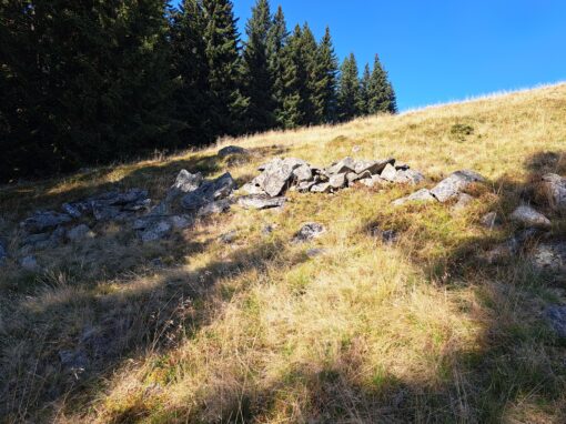 Bücher bei Veranstaltungen erhältlich Bücher bei Veranstaltungen erhältlich
